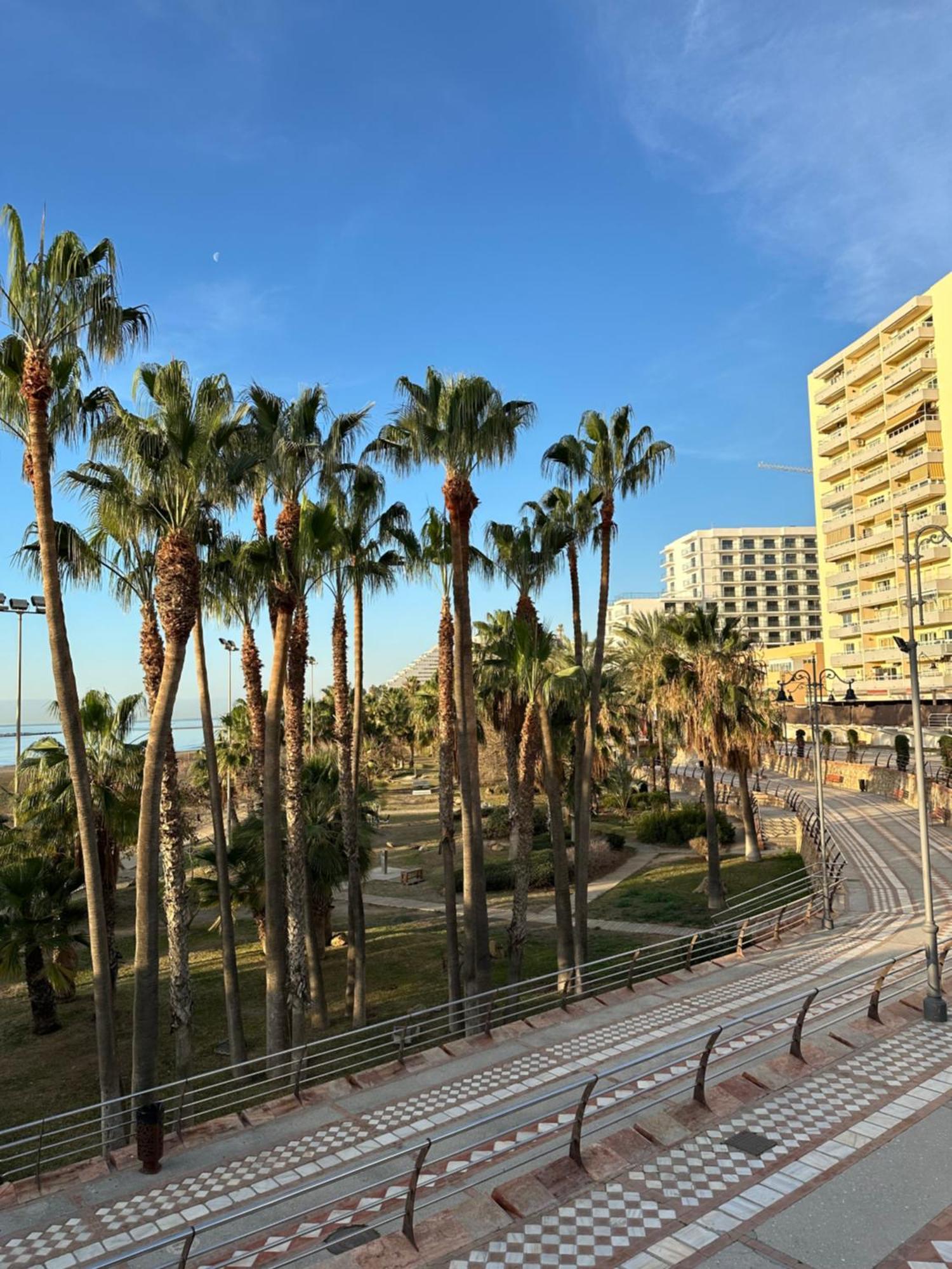 Tamarindo 5 Daire Benalmádena Dış mekan fotoğraf